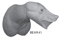 BEAR41